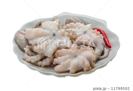 Raw octopus Raw octopus 11799502