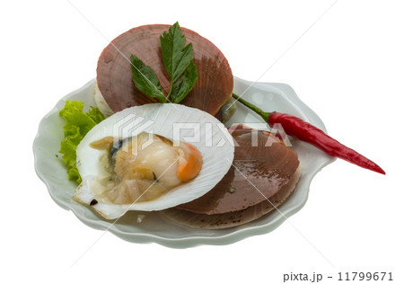 Raw fresh scallops 11799671