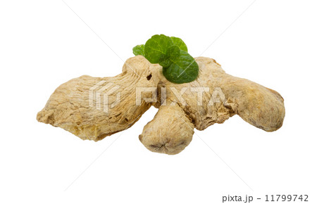 Ginger with mint leaf Ginger with mint leaf 11799742