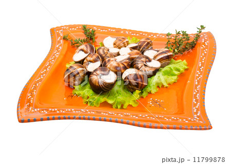 Escargot 11799878