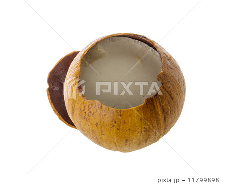 Coconut 11799898