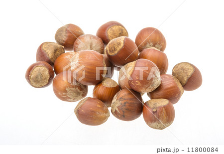 Hazelnut heap 11800084