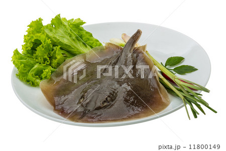 Raw Batoidea Raw Batoidea 11800149
