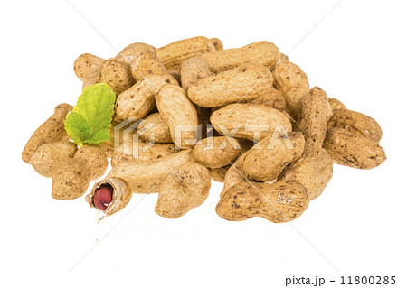 Peanut Peanut 11800285