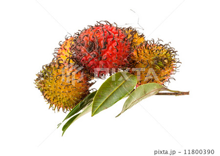 Rambutan Rambutan 11800390