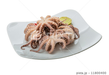 Boiled octopus Boiled octopus 11800400