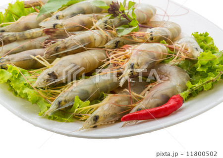 Raw tiger shrimps Raw tiger shrimps 11800502