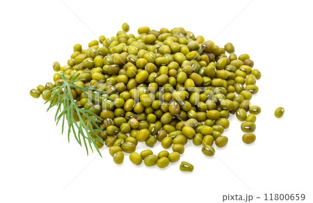 Green dry beans Green dry beans 11800659