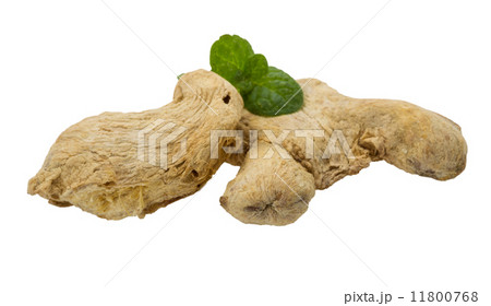 Ginger with mint leaf Ginger with mint leaf 11800768