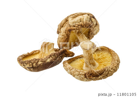 Dry asian mushroom Dry asian mushroom 11801105