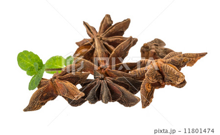 Star-anise 11801474