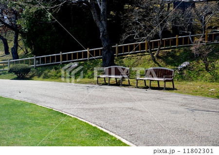 公園 公園 11802301