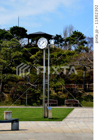 公園 公園 11802302