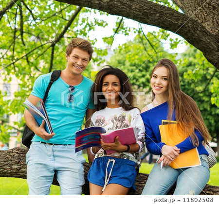 Group of multi ethnic students in a city park Group of multi ethnic students in a city park 11802508