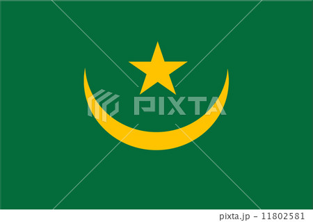 National flag of Mauritania 11802581