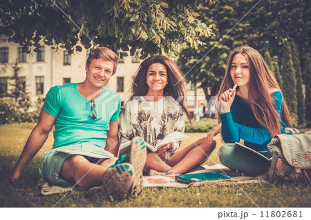 Group of multi ethnic students in a city park 11802681