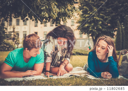 Group of multi ethnic students in a city park 11802685
