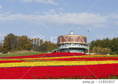 網走天都山のはな・てんと 11802837