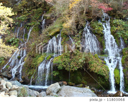 秋の吐竜の滝 秋の吐竜の滝 11803068