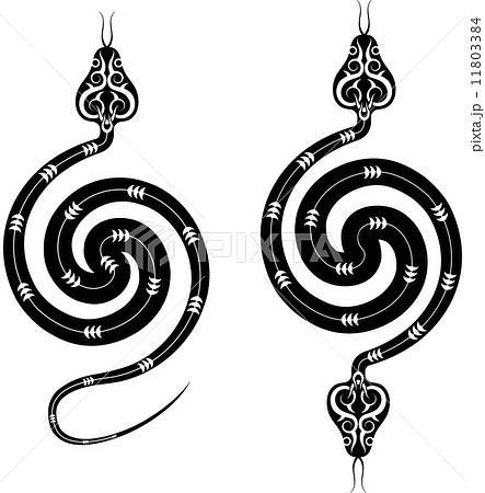 Tattoo Snake Tattoo Snake 11803384