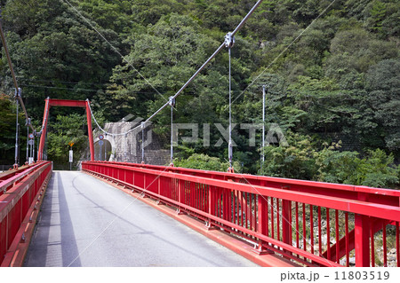 武田尾温泉の吊り橋 武田尾温泉の吊り橋 11803519