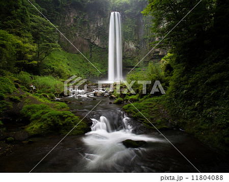 五老ヶ滝 五老ヶ滝 11804088