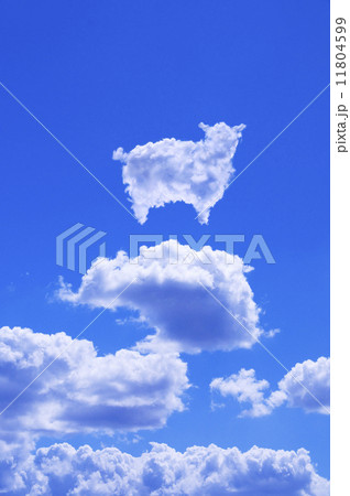 羊雲 11804599