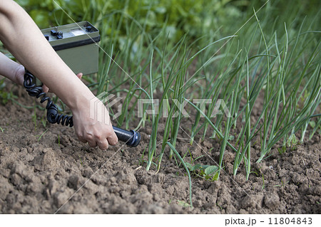 Measuring radiation  Measuring radiation  11804843