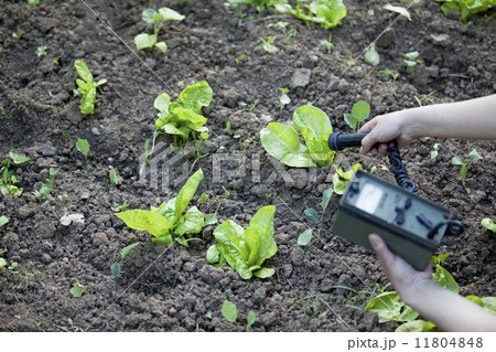 Measuring radiation 11804848