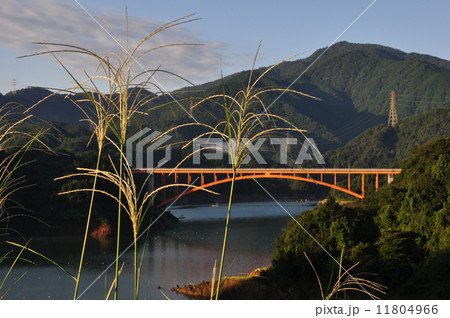 秋の宮ヶ瀬湖 秋の宮ヶ瀬湖 11804966
