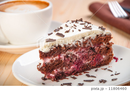 Piece of chocolate cake on a plate Piece of chocolate cake on a plate 11806460