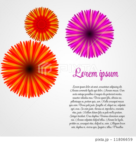 Abstract Colorful Background with Flowers. Vector Illustration 11806659