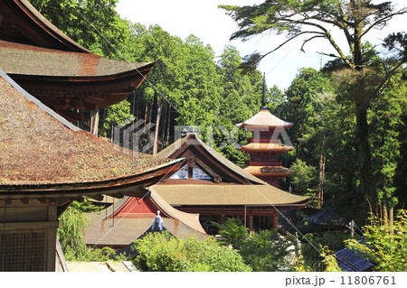 長命寺 11806761
