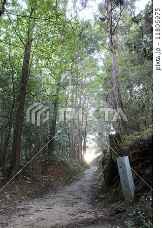 山の辺の道（奈良） 11806975