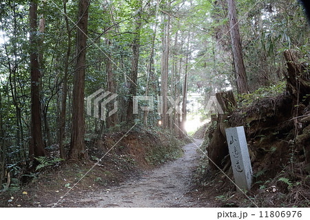 山の辺の道（奈良） 11806976