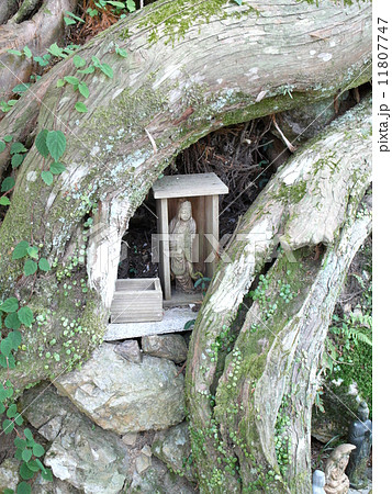 四国お遍路　第21番　太龍寺 11807747