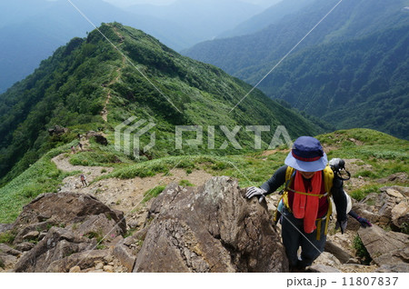 谷川岳　西黒尾根登山道 11807837