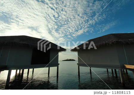 早朝の水上コテージ 11808115