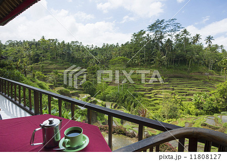 棚田を見ながらコーヒーブレイク 11808127