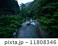 奥多摩湖 11808346