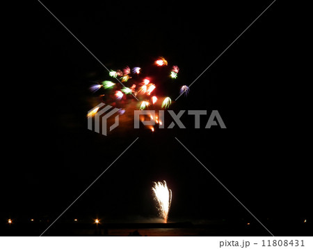 湘南ひらつか花火大会 11808431