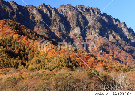 紅葉の戸隠連峰 九頭龍山 紅葉の戸隠連峰 九頭龍山 11808437