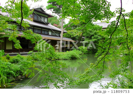 白沙村荘 白沙村荘 11809753