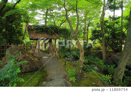 白沙村荘 11809754