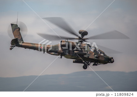 AH-64D AH-64D 11809824