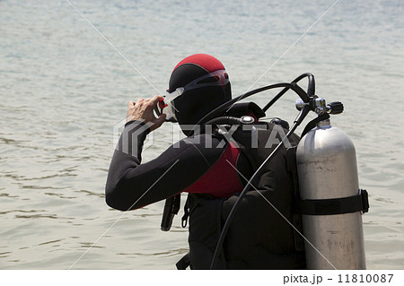 Scuba divers 11810087
