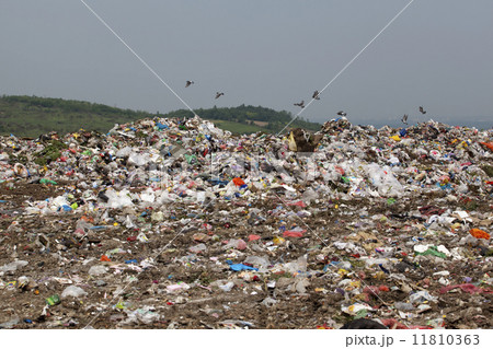 Landfill 11810363