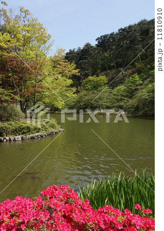臥竜公園 11810910