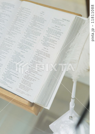 ウエディングイメージ 11811088