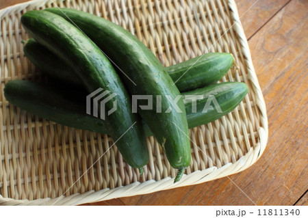 夏野菜（きゅうり） 11811340